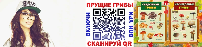 Псилоцибиновые грибы Cubensis  даркнет сайт  Сосенский 