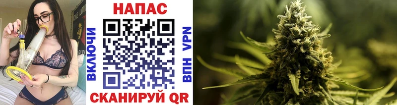 купить наркотики сайты кракен как войти Марихуана OG Kush Сосенский